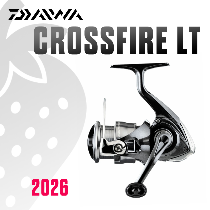 Mulinello da Pesca DAIWA 2026  - Daiwa Reel Bg recensione e prezzo